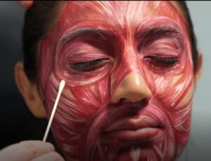 Prevention, Recognition, Management of Ischemic Events Related to Facial Fillers On-line Training Course