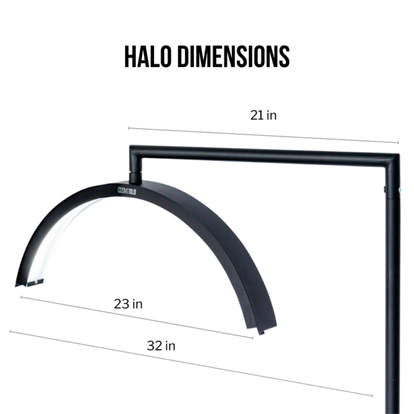 Halo Dimensions