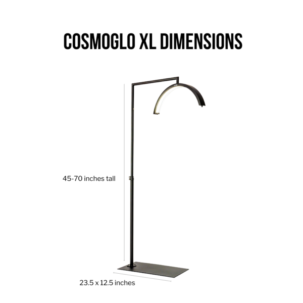 XL Dimensions