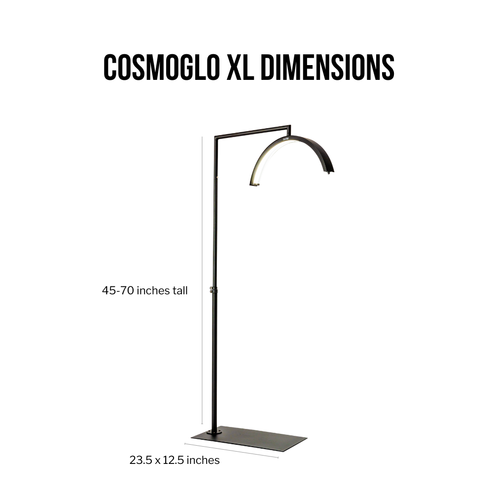 XL Dimensions